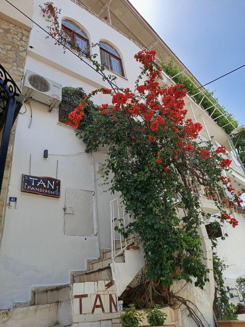 Tan Pansiyon image