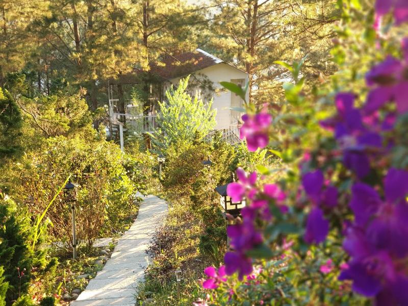 Pine Hill Homes Dalat — photo 4
