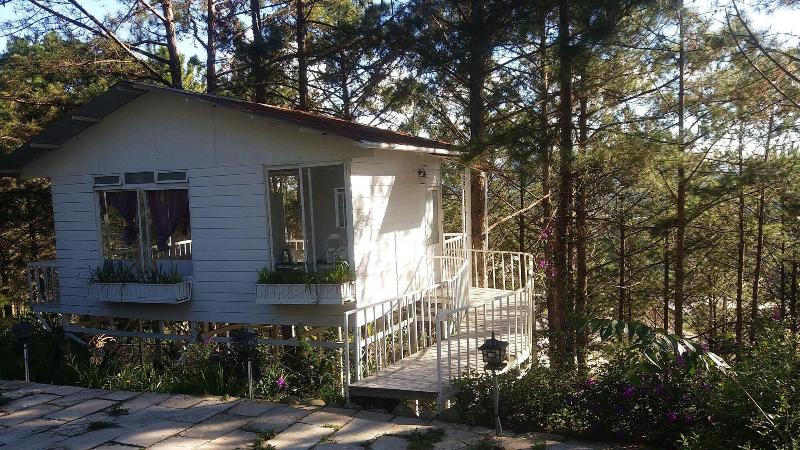 Pine Hill Homes Dalat — photo 5