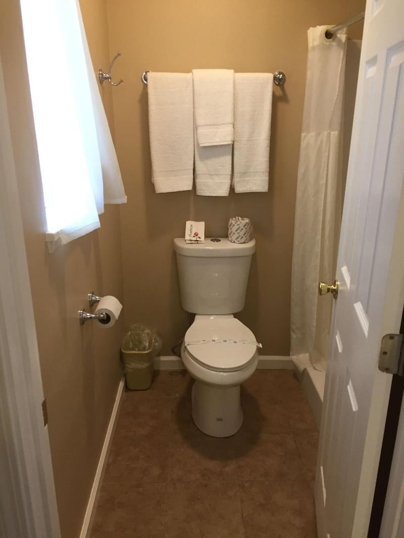 Holiday Lodge image