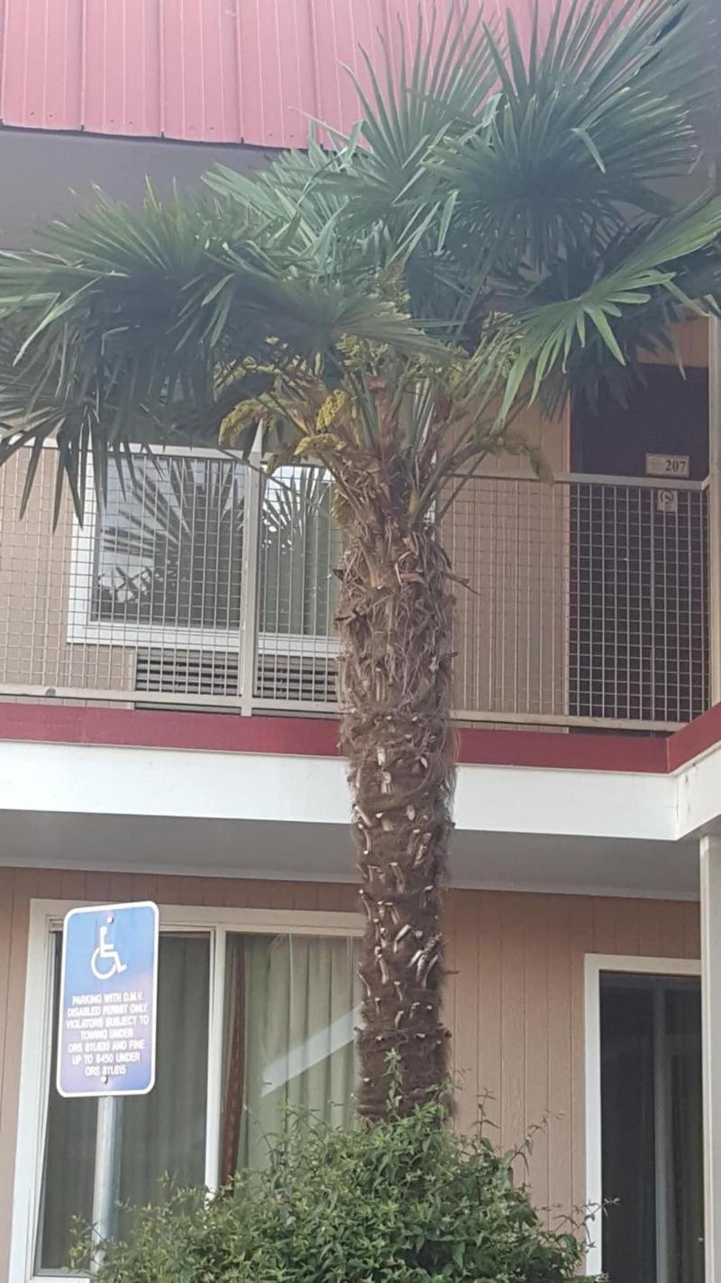 Express Inn & Suites image