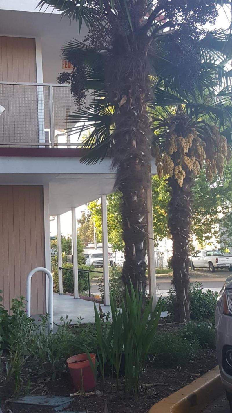 Express Inn & Suites image