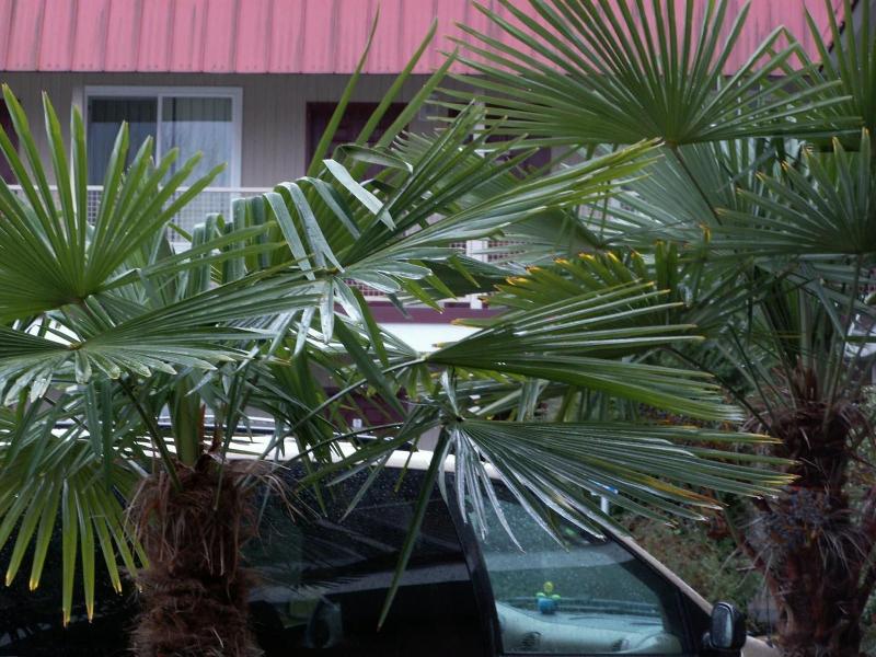 Express Inn & Suites image