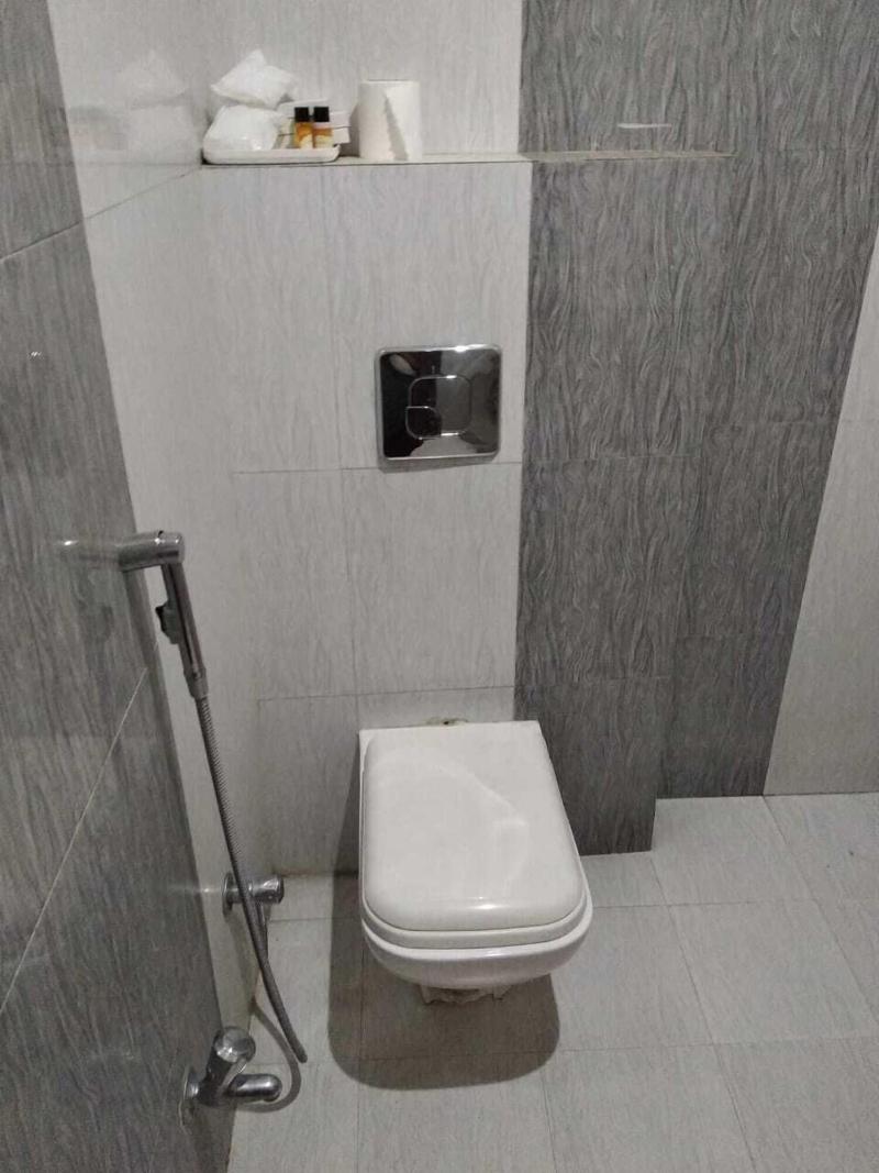 Dwivedi Hotels Hotel Elena image