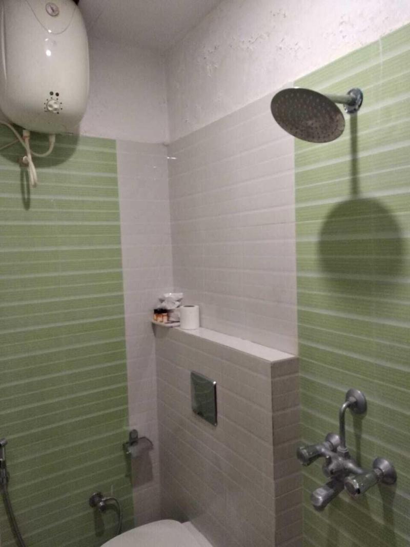 Dwivedi Hotels Hotel Elena image