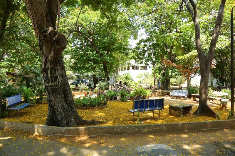 Ywca International Guest House image