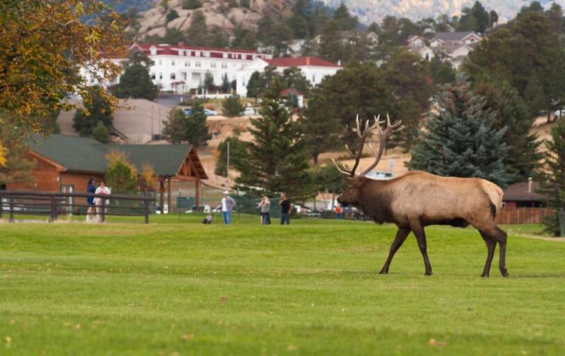 Alpine Trail Ridge Inn image