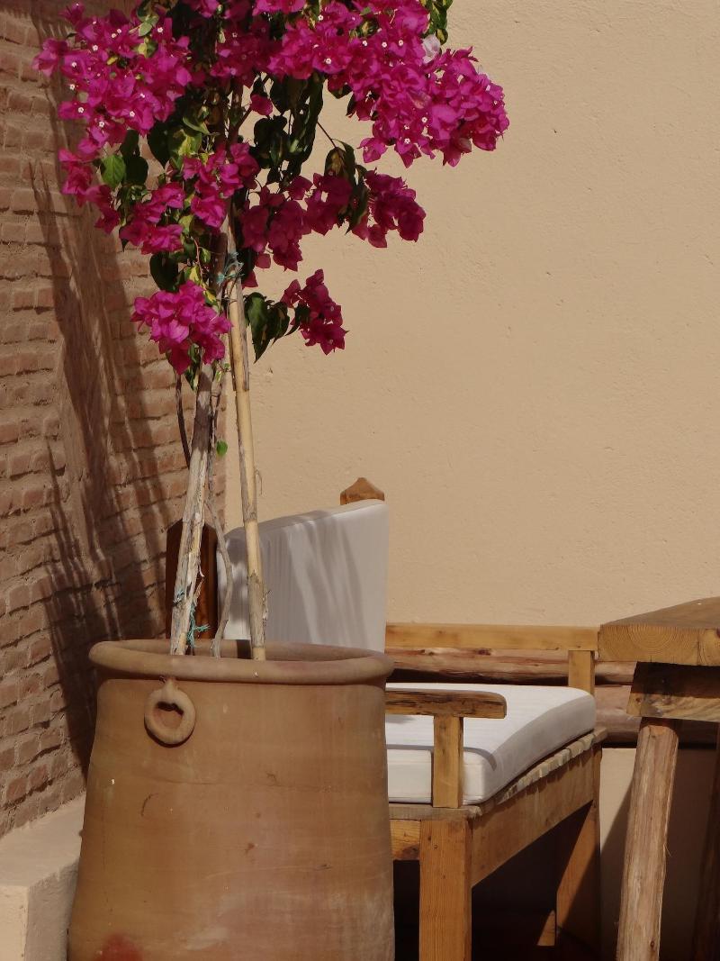 Riad  Dar Eternity image