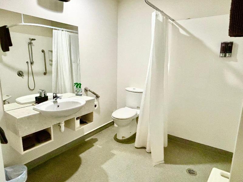 Phoenix Motor Inn image