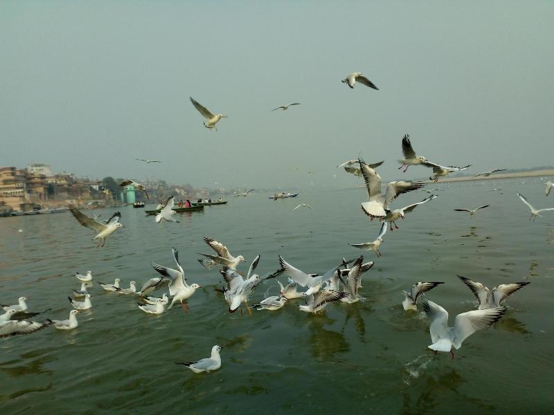 Vandana Residency image