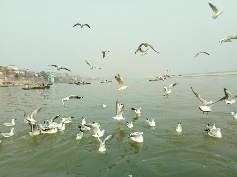 Vandana Residency image