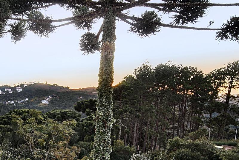 Recanto Das Araucarias image