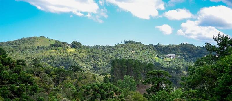 Recanto Das Araucarias image