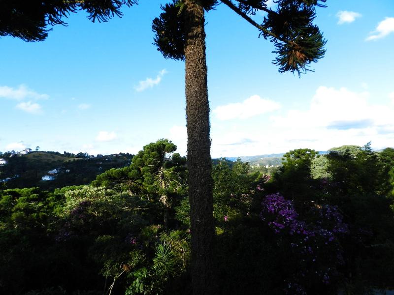 Recanto Das Araucarias image