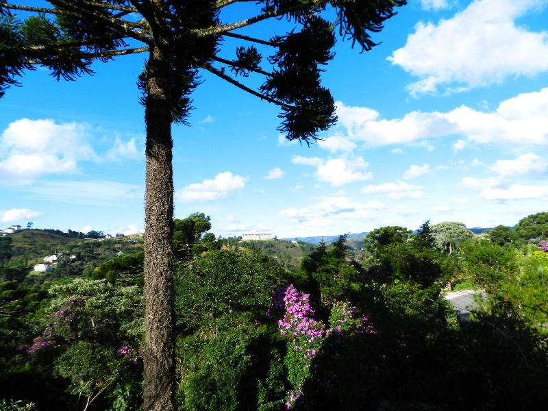 Recanto Das Araucarias image