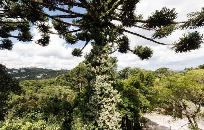 Recanto Das Araucarias image