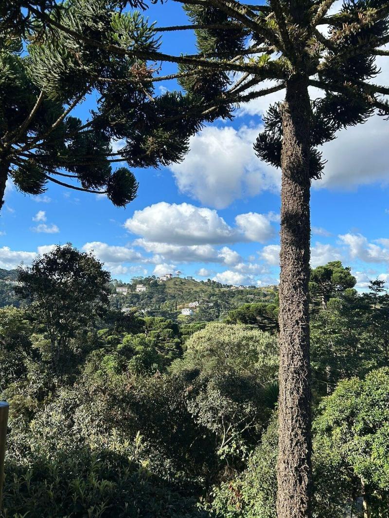 Recanto Das Araucarias image