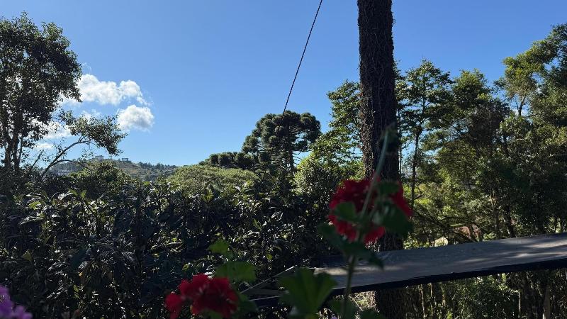 Recanto Das Araucarias image