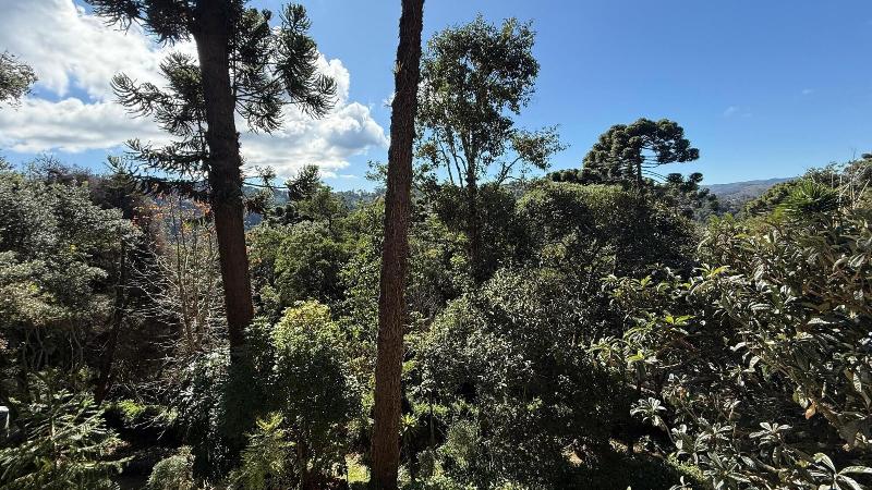 Recanto Das Araucarias image