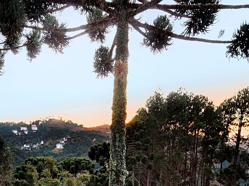 Recanto Das Araucarias image