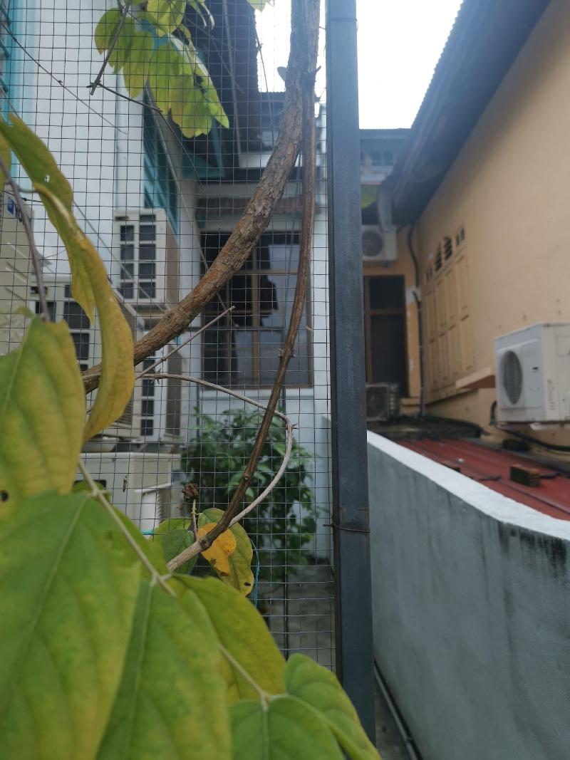 Sojourn Beds & Cafe - Hostel image