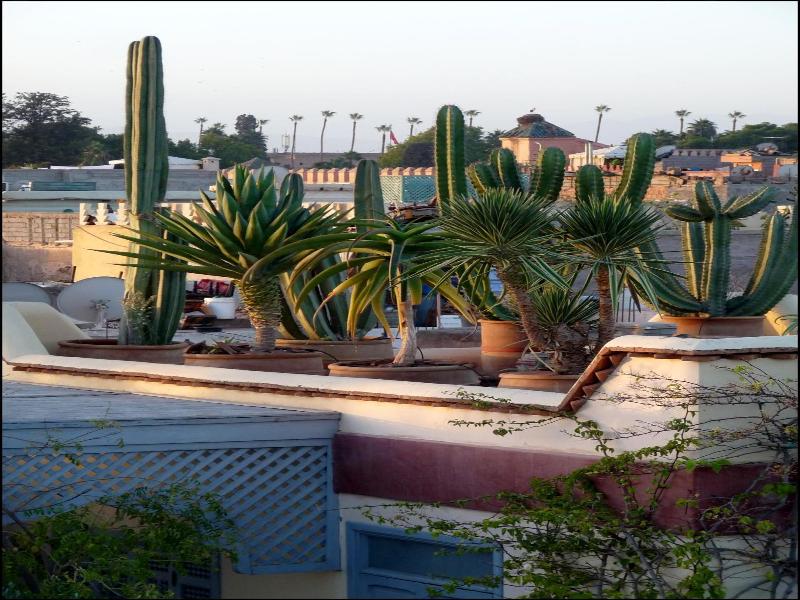 Riad Noos Noos image
