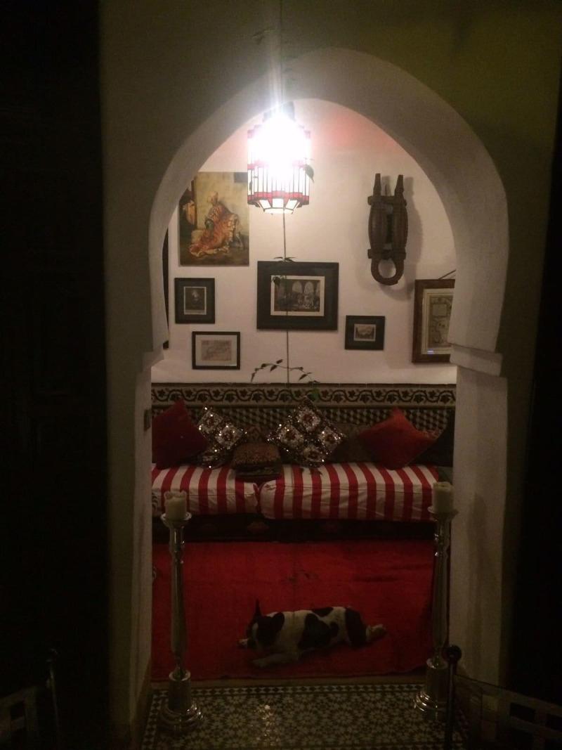 Riad Tibibt image