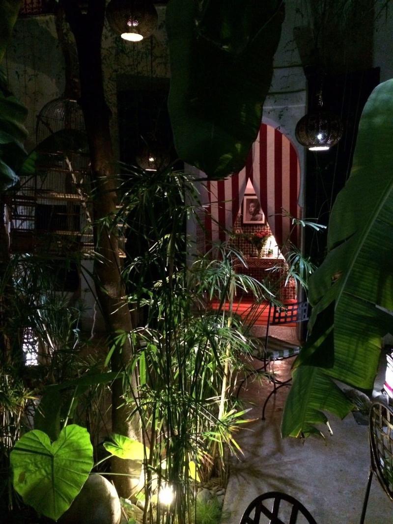 Riad Tibibt image