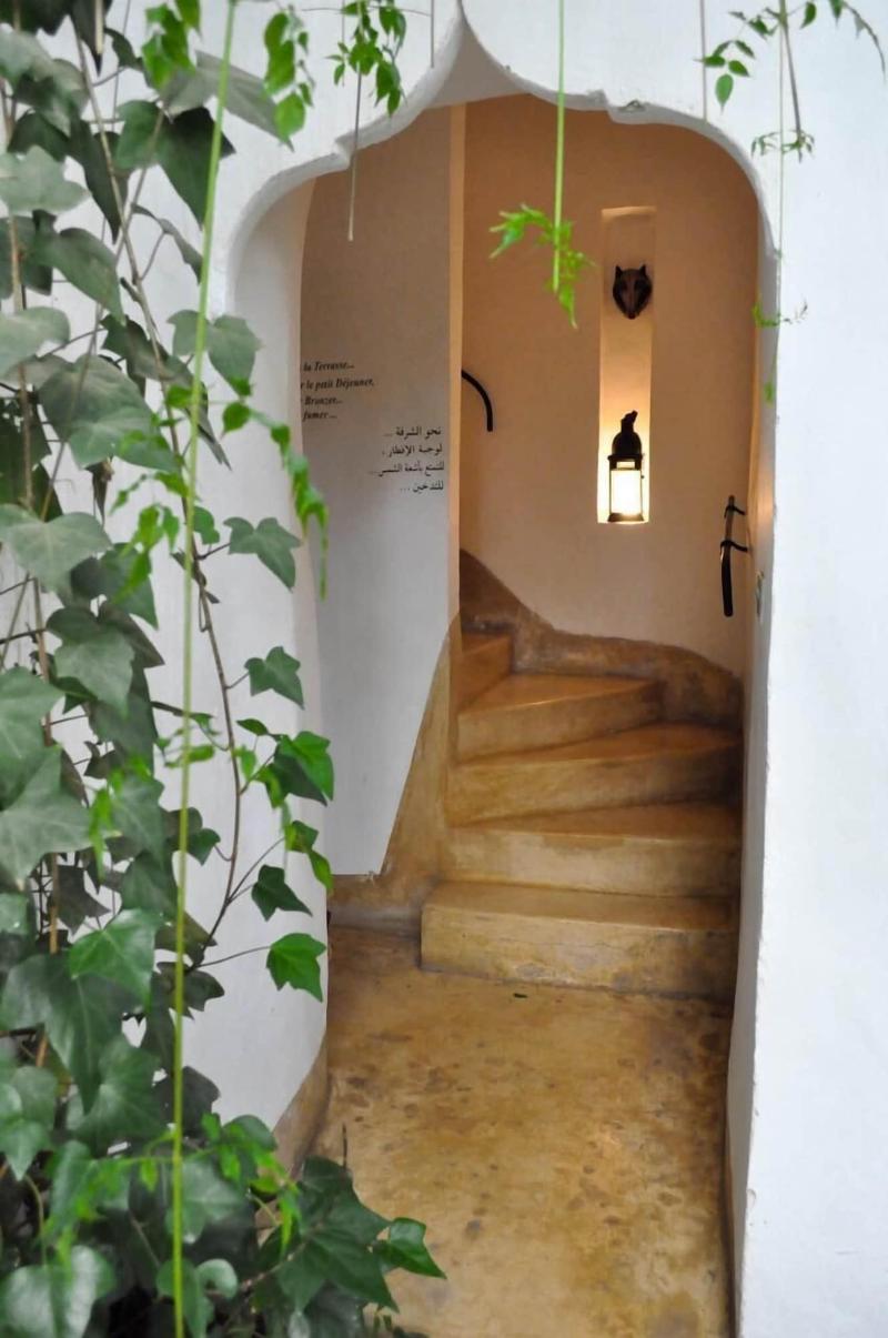Riad Tibibt image