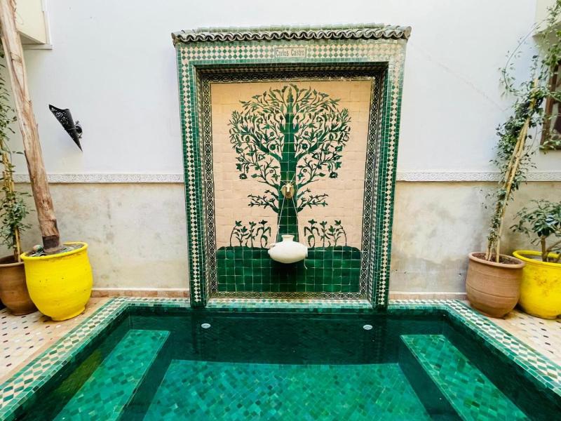 Riad Thycas image