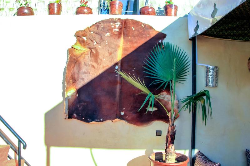 Riad Lalla image