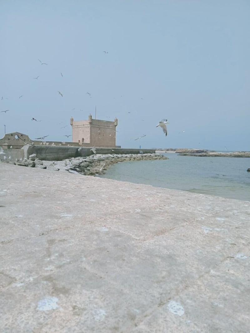 Riad j'ddi image