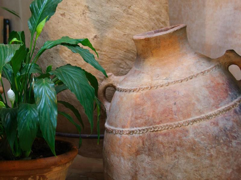 Dar Housnia image