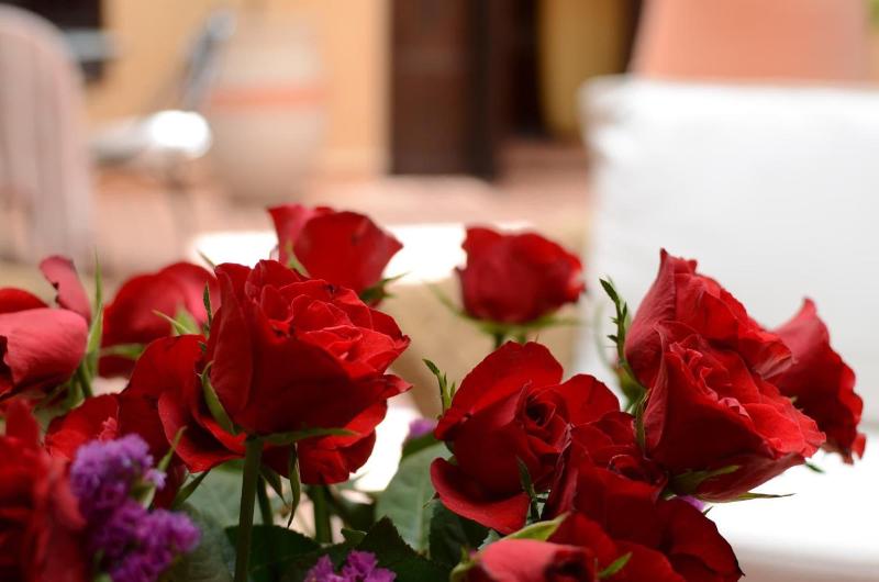 Riad Hadda image