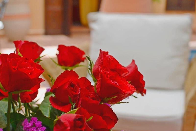 Riad Hadda image