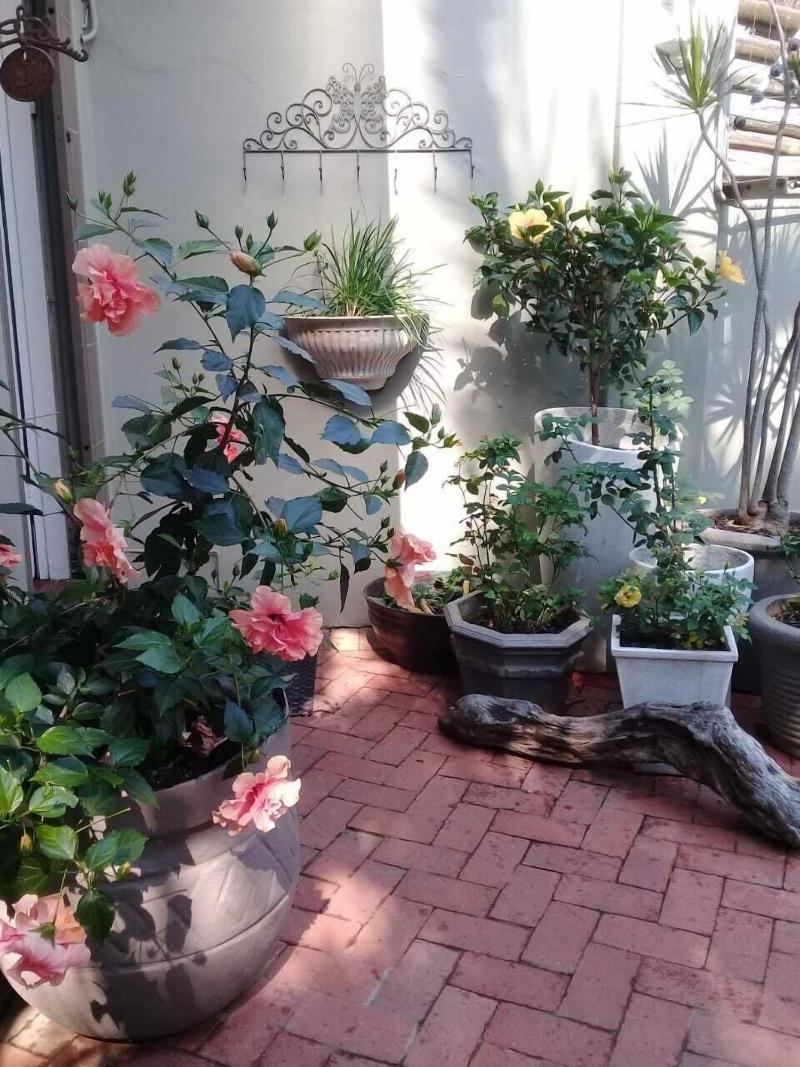 Beechwood B&B image
