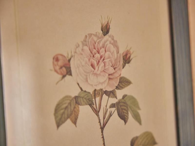 Antica Dimora image