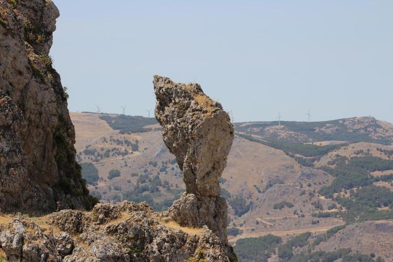 Le Zarafe image