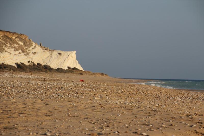 Le Zarafe image