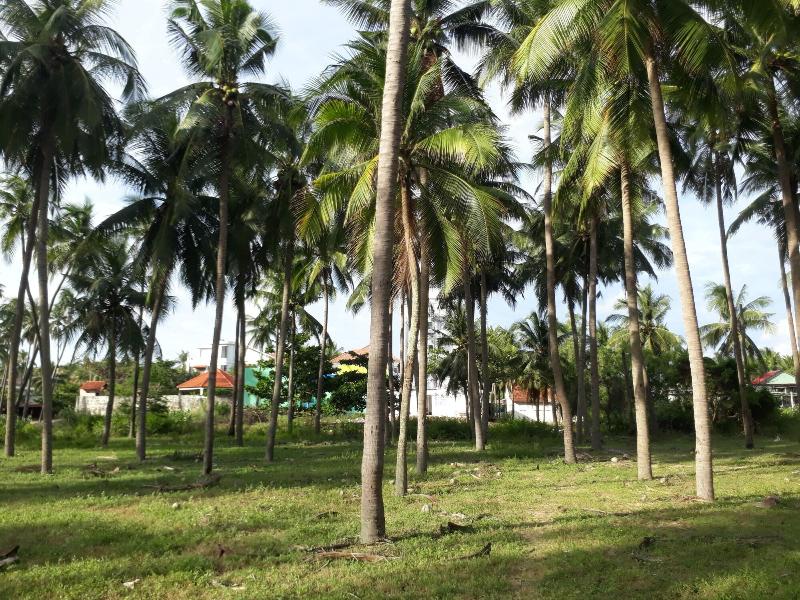 Damina Boutique Hotel - Hostel image