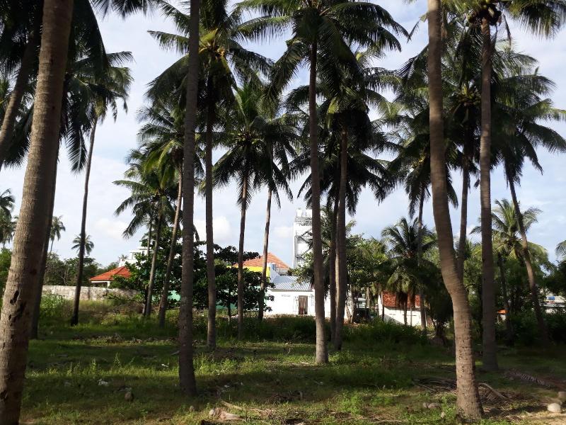 Damina Boutique Hotel - Hostel image