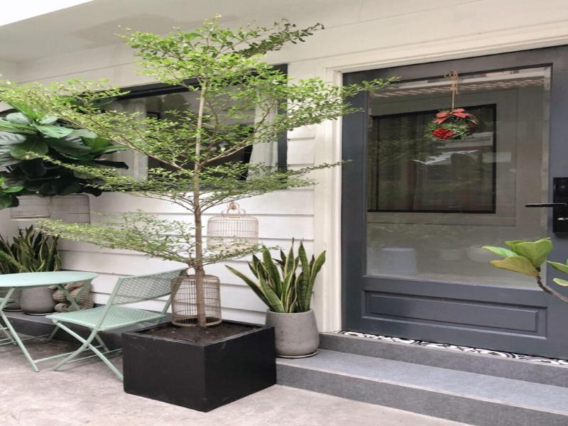 Lily's Hostel image