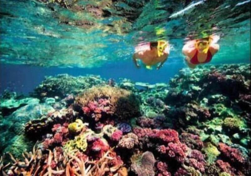 Bondi Backpackers Nha Trang - Hostel image
