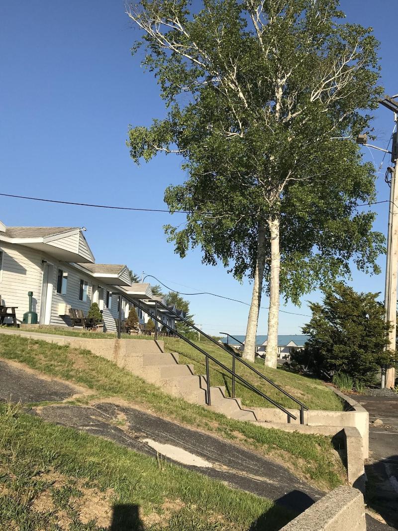 White Birches Motel image