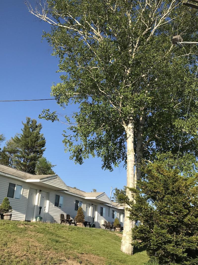 White Birches Motel image