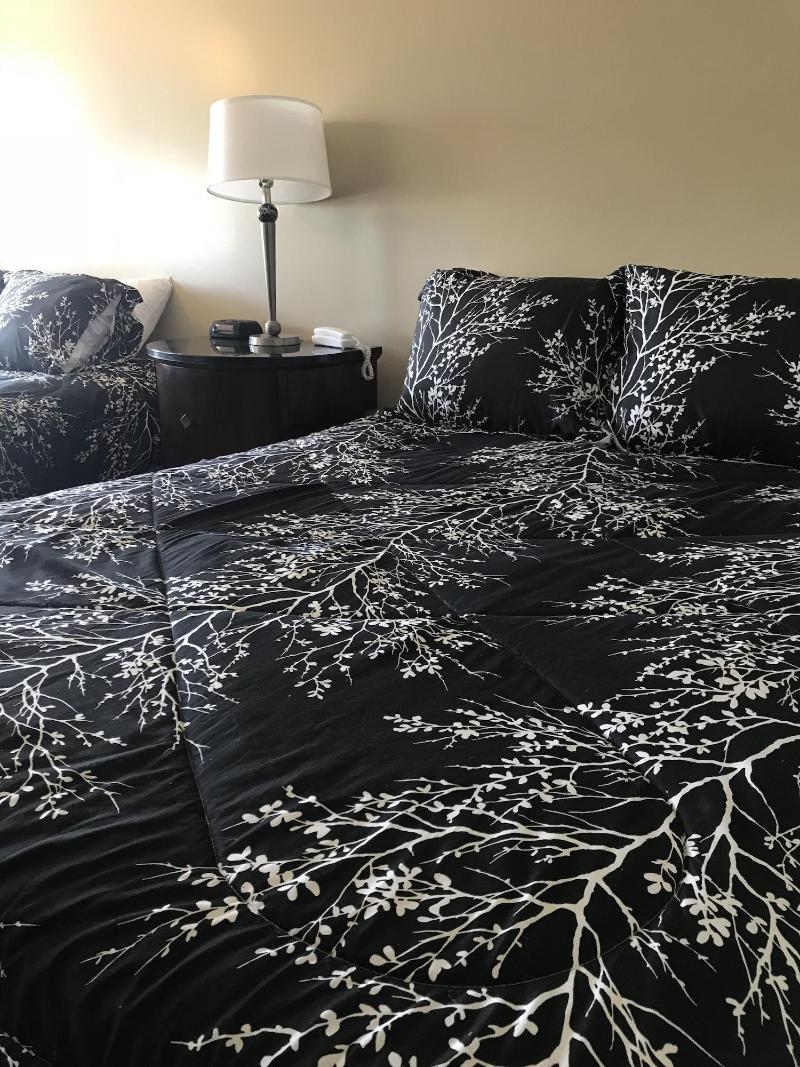 White Birches Motel image
