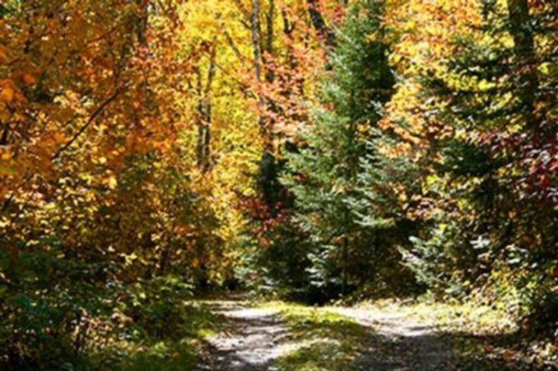 Leech Lake Bed & Breakfast image 8