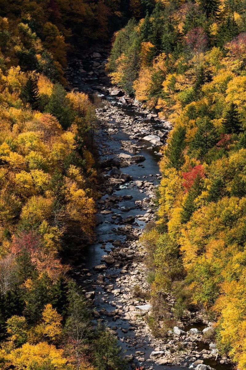 River House Lodge image