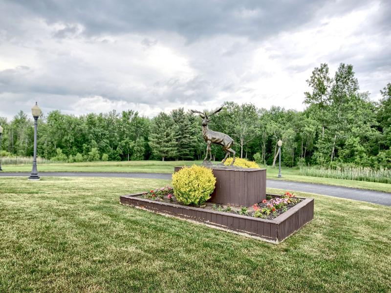 Roosevelt Inn And Suites Saratoga Springs image