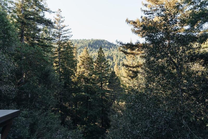 Redwoods River Resort image